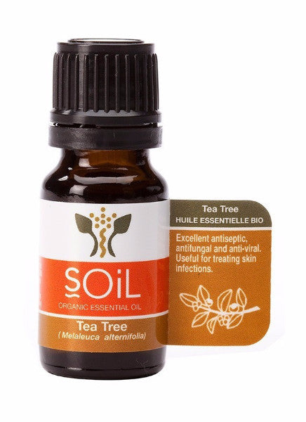 Soil Organic Tea Tree Oil